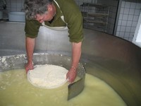 Kaasboerderij Sterreschans